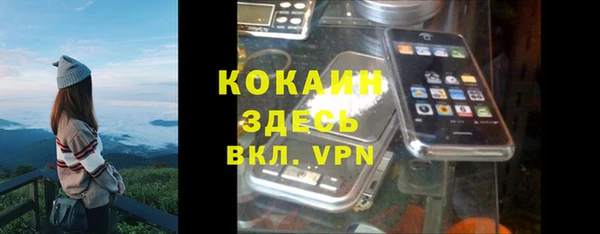 крисы Алексеевка