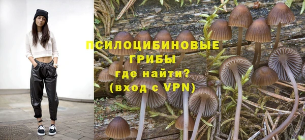 соль курить ск Алзамай