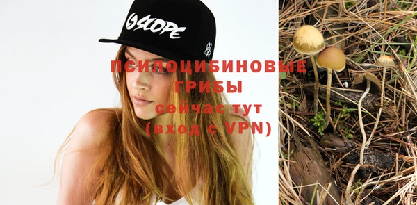 соль курить ск Алзамай